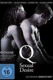Q eroticual Desire (2011)