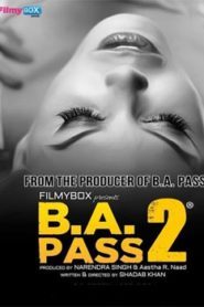 B A Pass 2 (2017) Hindi