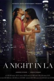 Night in LA (2019) HotShots Hindi