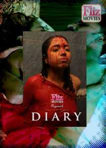 Diary (2020) Fliz Movies