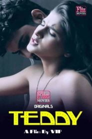 Teddy Flizmovies (2020) Hindi