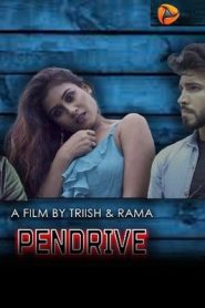 Pendrive (2020) Eknightshow Hindi Ep1 to 3